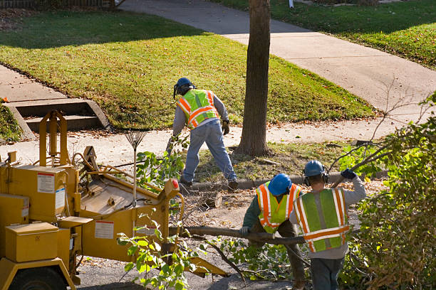 Seasonal Cleanup (Spring/Fall) in Willow Park, TX